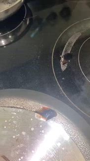 User submitted video
