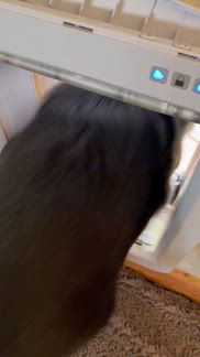 User submitted video
