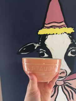 User submitted video